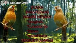 Suara pikat hwamai wambi