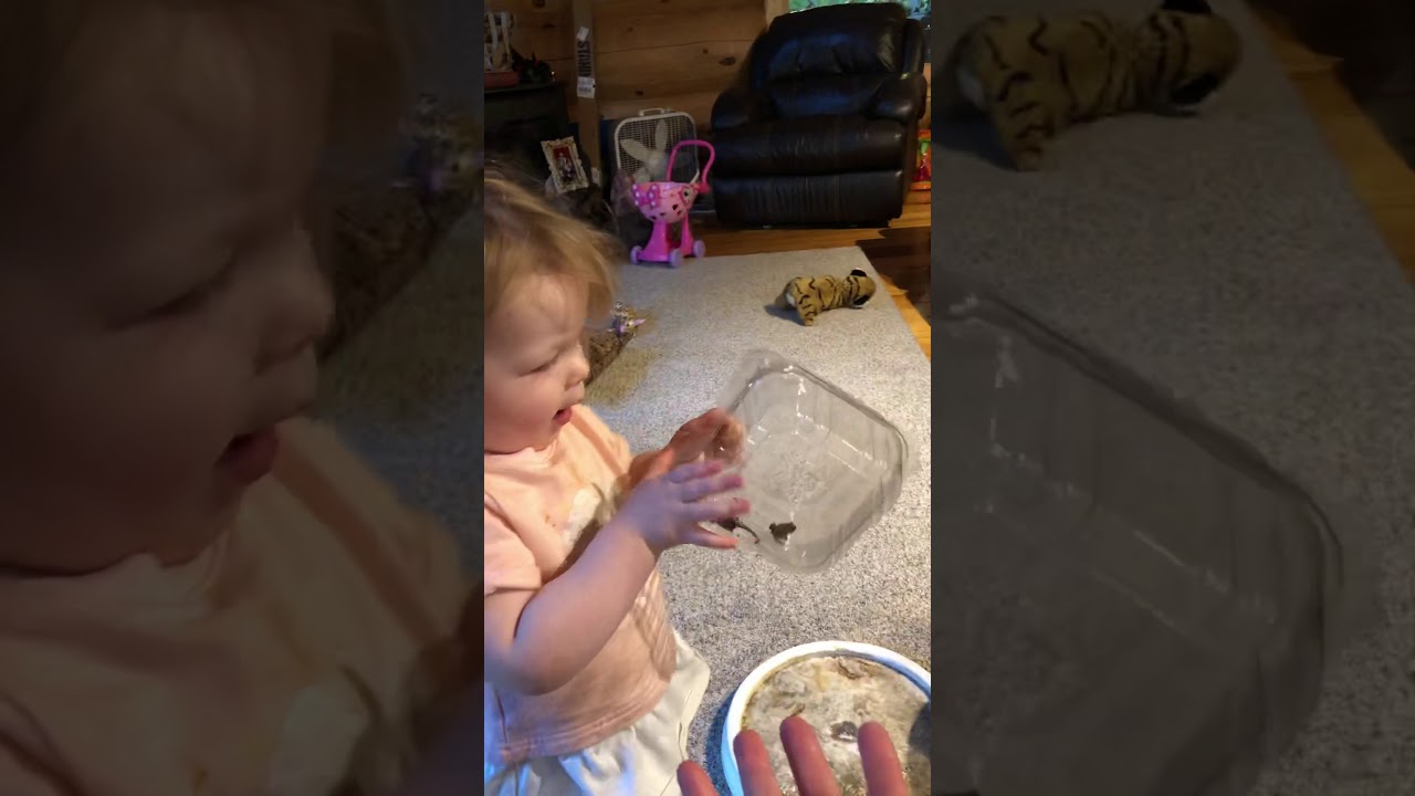 cockatoo price ph Toads !! My precious daughter and granddaughter