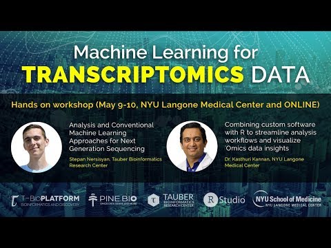 Machine Learning in