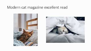 modern cat magazine best read for cat lovers screenshot 3