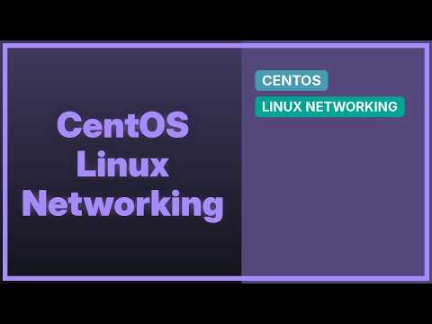 Policy-based routing - neither rules nor routes get picked-up by CentOS 7.6.1810