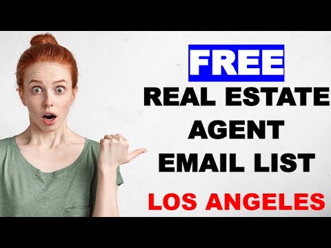 REAL ESTATE AGENT