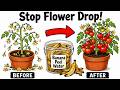 Stop Tomato Flower Drop with Banana Peel Compost No More Guessing!