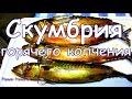 Скумбрия горячего копчения.