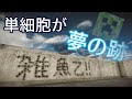BF4 短編『脳死野郎は煽りましょう』 Part.100