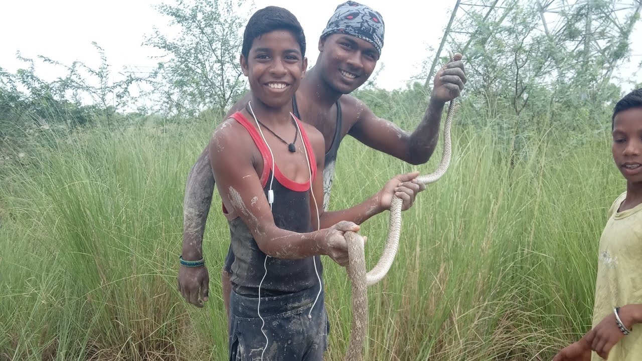 camera iphone 8 plus apk Raising awareness about snake