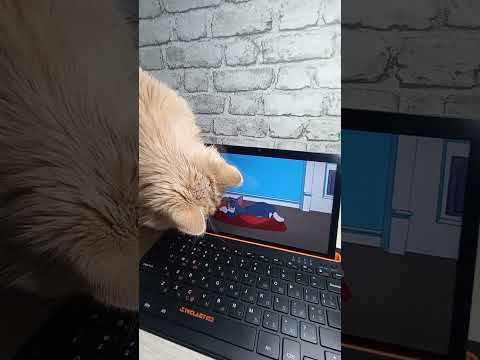 Планшет Teclast T50 New 2023 (8/256) LTE з Чохлом та Клавіатурою KS10 (TL-112239) фото від покупців 2