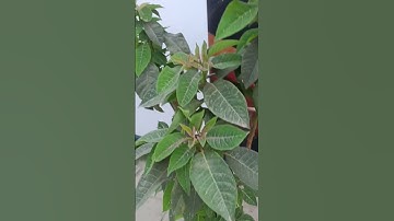 "You define your own life. Don