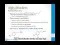 3 ANS Drugs Norepinephrine