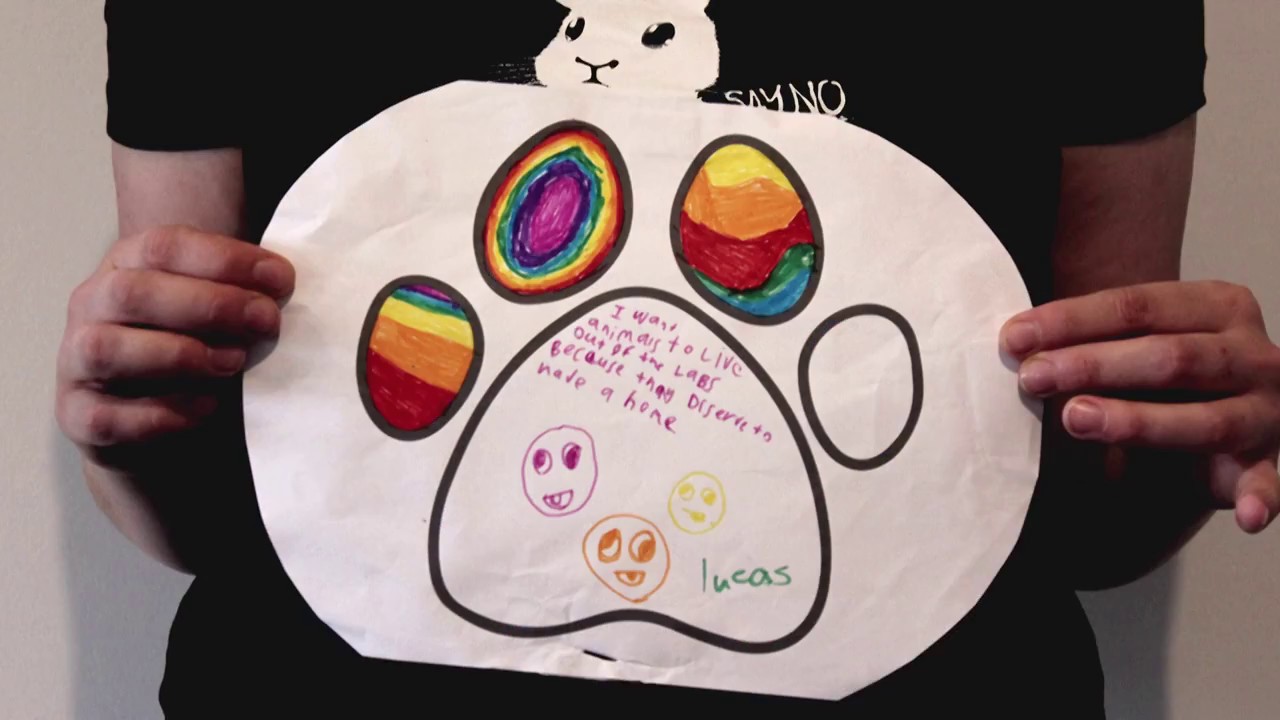 NZAVS Sends Your Paw Prints to Parliament!