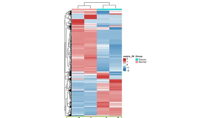 Gene expression heatmap