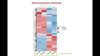 Gene expression heatmap