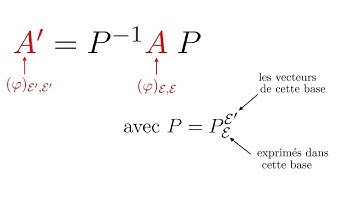 Matrices et applications linéaires 4 - Changements de bases