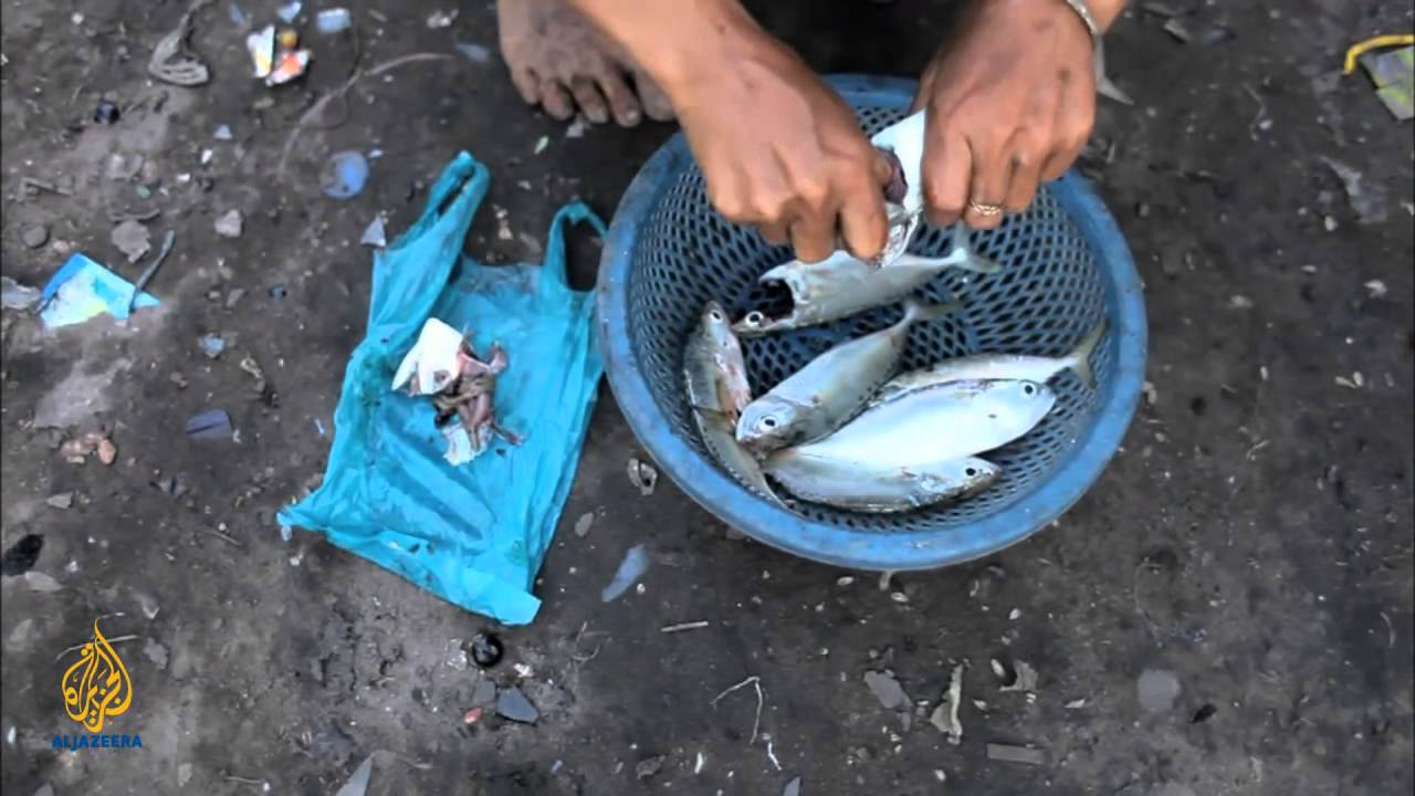 إطارات الجزيرة - حياة أفضل