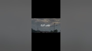 آيات من سورة النبأ القارئ الشيخ ياسر الدوسري