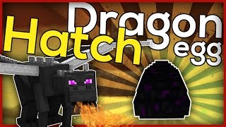 This tutorial shows you how to hatch a dragon egg! #minecraftcommand
enjoy the video! ■▬▬ explanation page ►
https://cimapminecraft.com/tutorials/dragon-hatc...