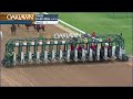 Oaklawn Park January 2, 2026 The 1st Running of THE COACH OVERNIGHT STAKES