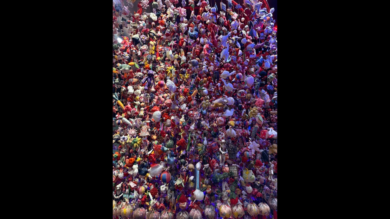 夕方公務員試験ライブ