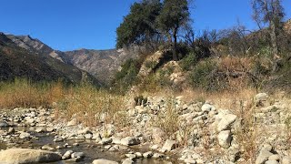 Los Padres National Forest Hiking Ojai