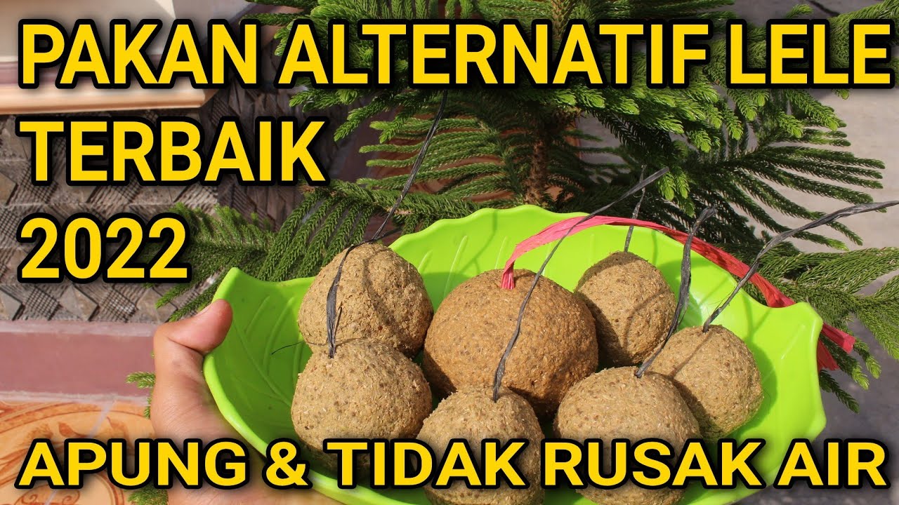 PAKAN ALTERNATIF LELE PALING MUDAH DIBUAT| WOW..❗MURAH BANGETT‼️