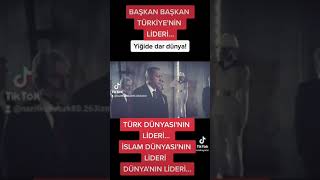 YİĞİDE DAR DÜNYA Resimi