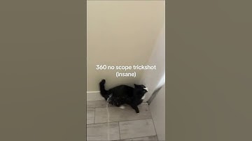 不開鏡360度之你們不知道的視角  #apexlegends  #apex英雄 #李帷 #erycyoo