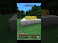 IG BRO PLAYS MINECRAFT FIRST TIME #shorts