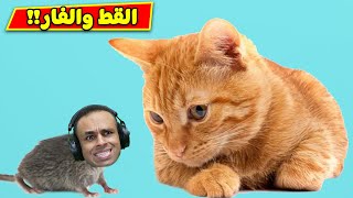 القط والفار فى لعبة roblox !! 
