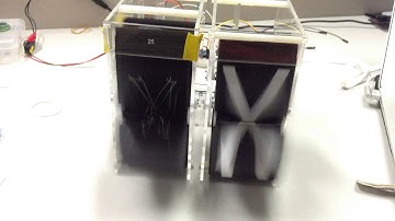 SPLITTING THE FLAP - v00 & v01