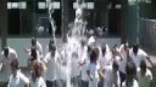 Novatada Albanta 2008