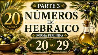 NÚMEROS FEMININOS EM HEBRAICO | 20–29