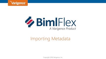 02 BimlFlex Importing Metadata