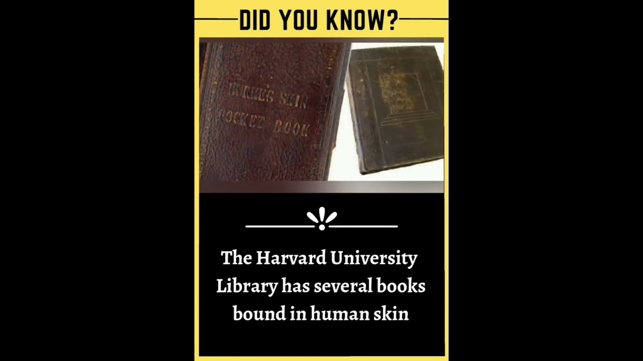 Shocking! Books bound in Human skin