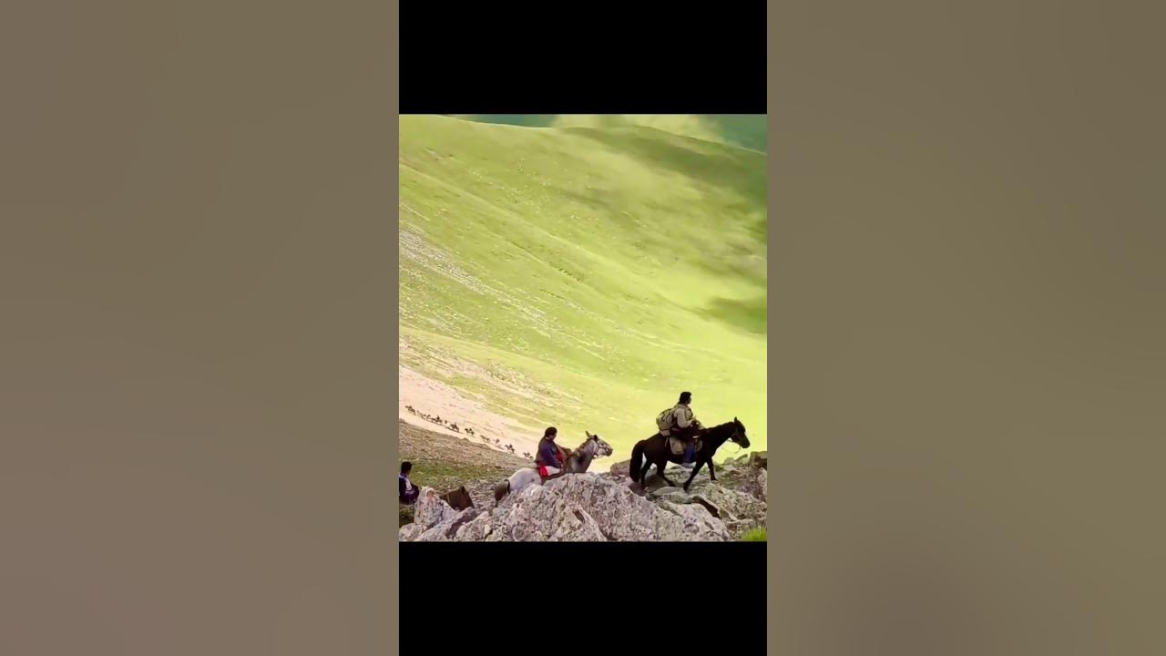 Ойраты Хэнаня #mongol #oirad #ойраты #монголы #shorts - YouTube