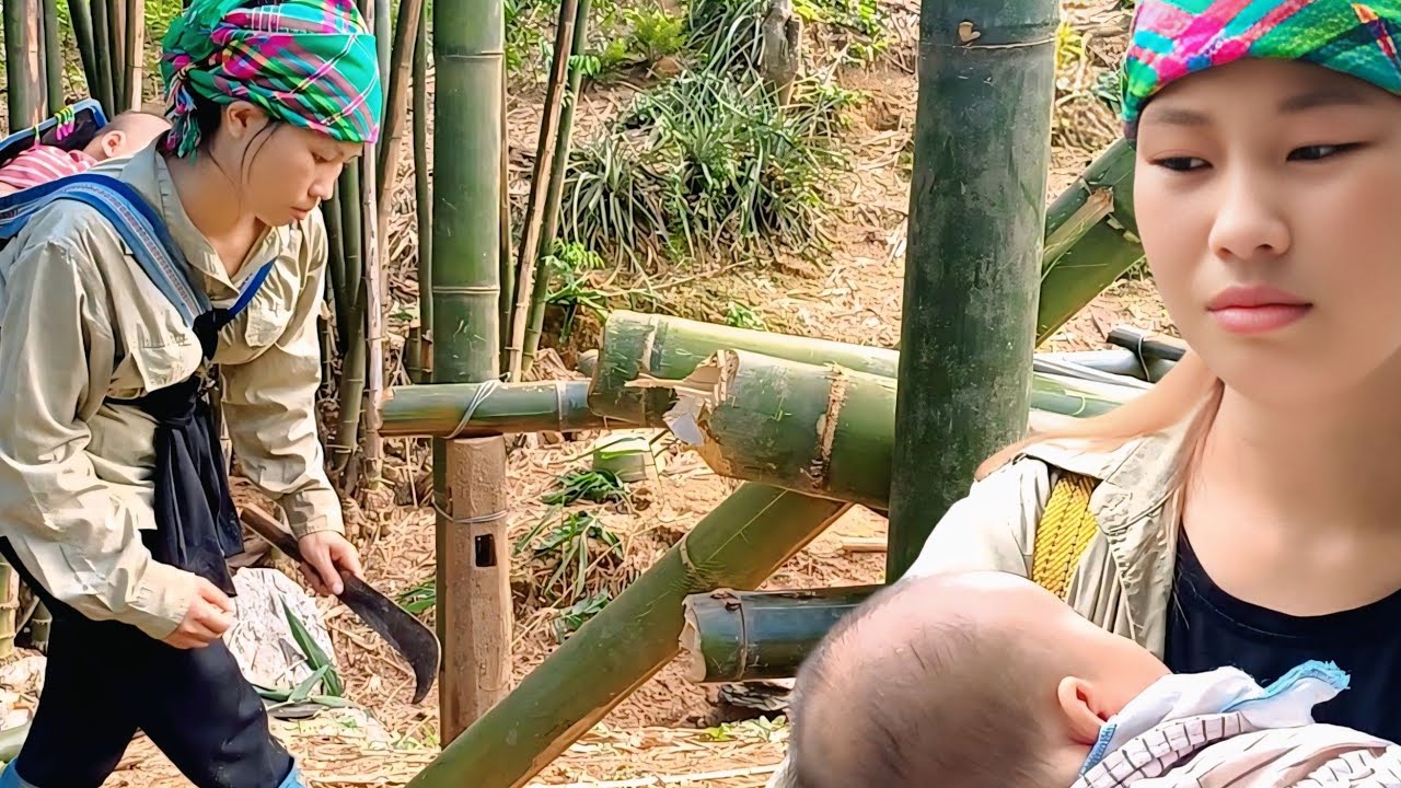 No Home, No Money — Single Mother Builds Bamboo Shelter to Survive