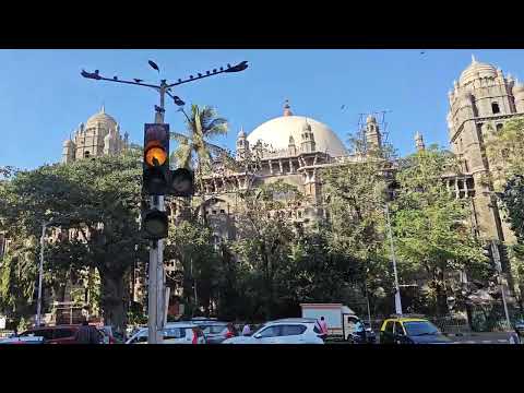 Bird sitting in traffic light