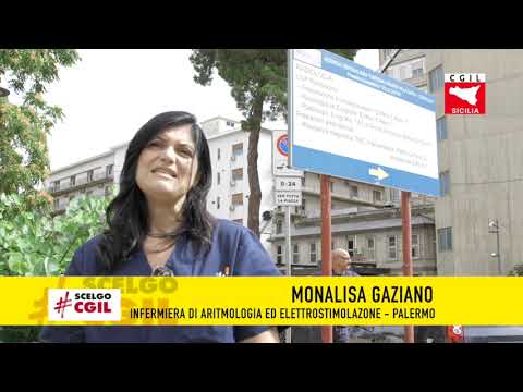 Video: Angelica: Tipologie, Candidatura E Collocamento Nel Paese