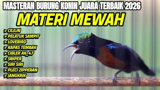 KOMPILASI TEMBAKAN KONIN MATERI JUARA FULL ISIAN MEWAH MATERI TAJAM NYARING JERNIH