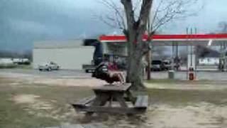 free running front handspring