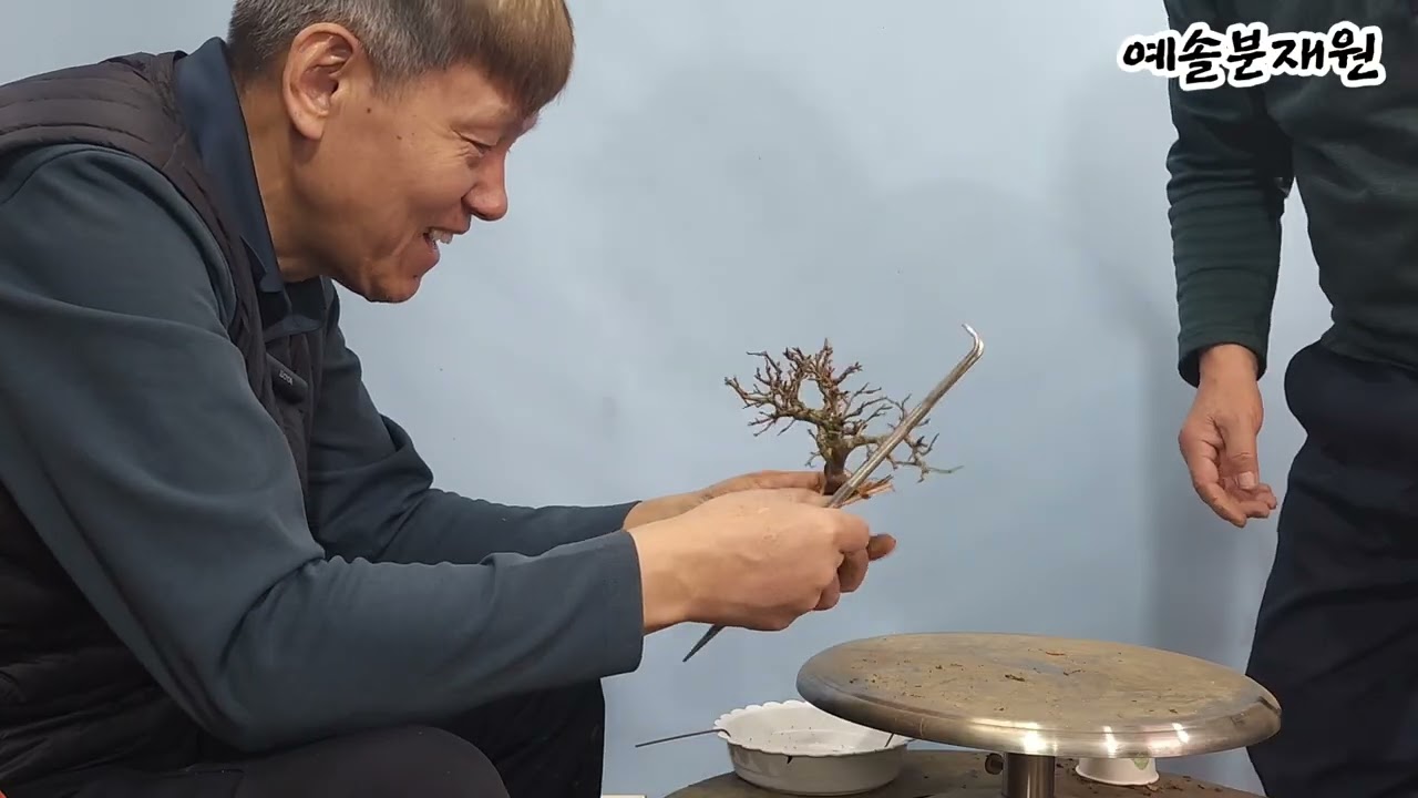 분재관리   639강  부감독의 세지소사 분올림 과정 (2026. 2. 10)