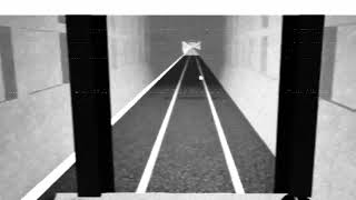 METPO: Recreating the crash from the driver's view.