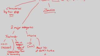 Biomes/Aquatic Ecology - Aquatic I | BIALIGY.com