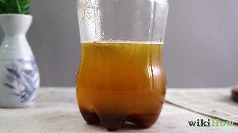 How to Make a Plastic Bottle Mosquito Trap