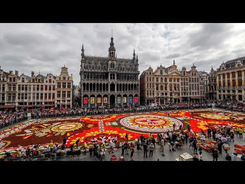 Video: Cos'è Il "tappeto Floreale Di Bruxelles"