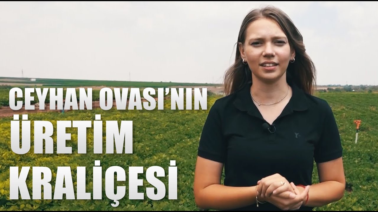 Ceyhan Ovası'nın Üretim Kraliçesi Nihan Işık! 6 Bin Dekarda Dev Üretim! / Farmer100