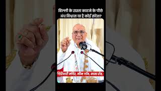 बिल्ली के रास्ता काटने के पीछे अंध विश्वास या है कोई संदेश?