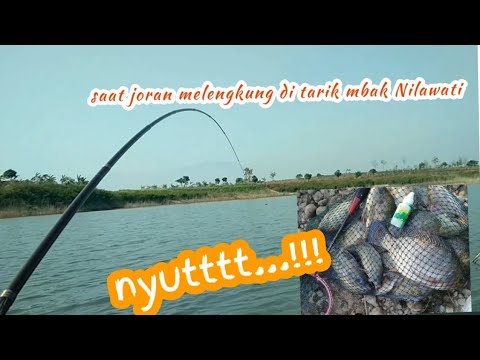 Ikan Nila Terbesar Yang Pernah Saya Dapat Waduk Panohan Youtube