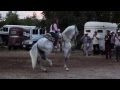 EXHIBICION DE UN CABALLOS PASO COSTA RICENSE E IBERO - CORDOVA PRODUCCION HD 720p Video Sharing