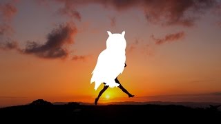 Alex Ferro - Y O U