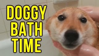 Doggy Bath Time